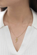 Load image into Gallery viewer, La Vie En Rose Charm Necklace
