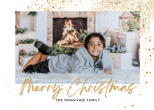 Load image into Gallery viewer, Christmas Mini Sessions 2025
