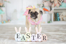 Load image into Gallery viewer, Easter Mini Photography Sessions 2026: Please read description before booking
