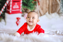 Load image into Gallery viewer, Mini Photoshoot Sessions for the Holidays
