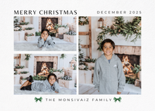 Load image into Gallery viewer, Christmas Mini Sessions 2025
